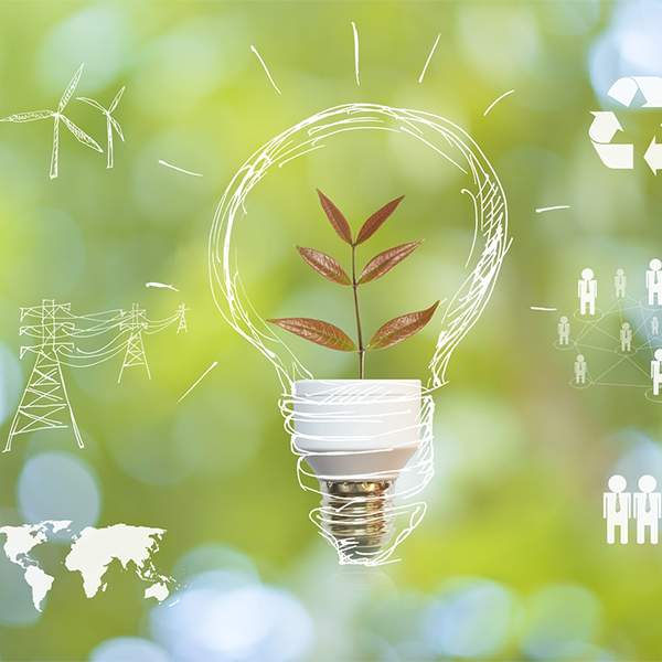 Environment_600x600 Lightbulb with a leaf as the filament